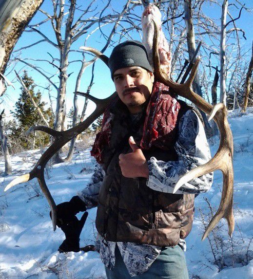 Wyoming elk